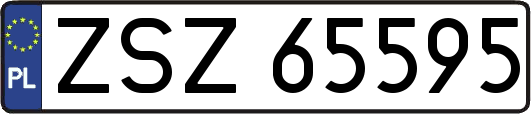 ZSZ65595