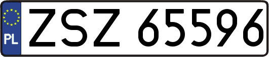 ZSZ65596