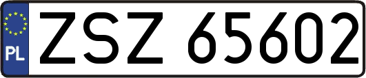ZSZ65602