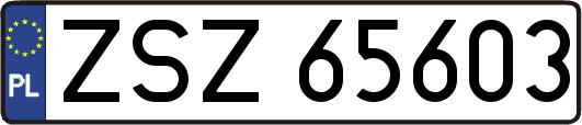 ZSZ65603