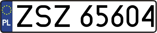 ZSZ65604
