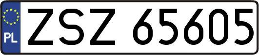 ZSZ65605