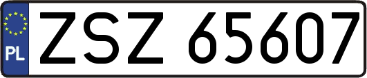 ZSZ65607