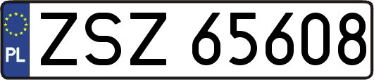 ZSZ65608