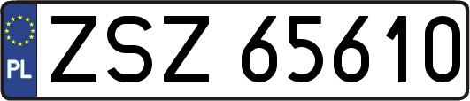 ZSZ65610