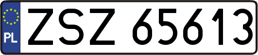 ZSZ65613