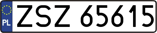 ZSZ65615