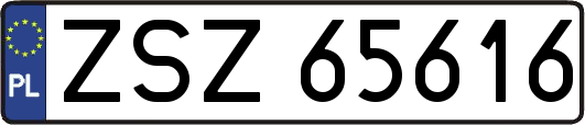 ZSZ65616