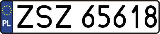 ZSZ65618