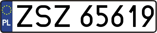 ZSZ65619