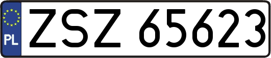 ZSZ65623