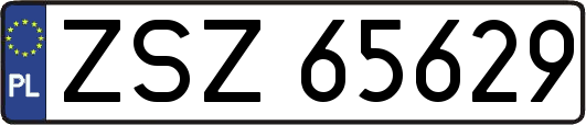 ZSZ65629