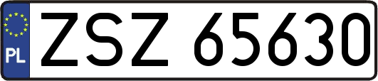 ZSZ65630