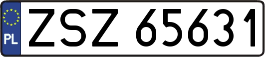 ZSZ65631