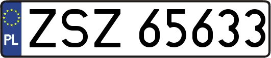 ZSZ65633