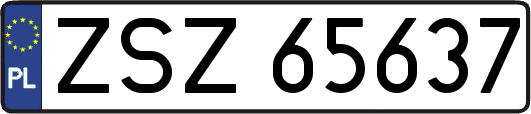 ZSZ65637