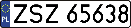 ZSZ65638