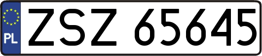 ZSZ65645