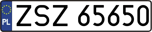 ZSZ65650