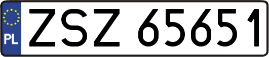 ZSZ65651