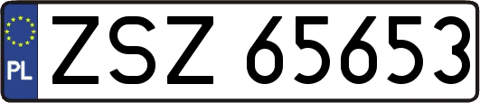 ZSZ65653