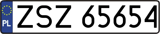 ZSZ65654