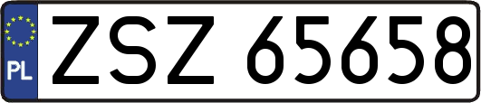ZSZ65658