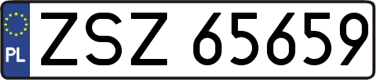 ZSZ65659