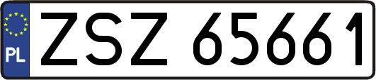 ZSZ65661