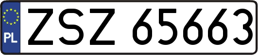 ZSZ65663