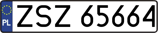ZSZ65664
