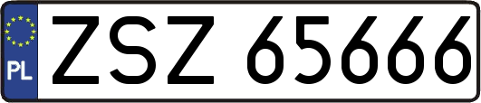 ZSZ65666