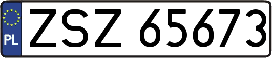 ZSZ65673