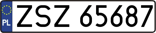 ZSZ65687