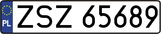 ZSZ65689