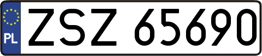 ZSZ65690