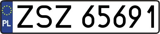ZSZ65691