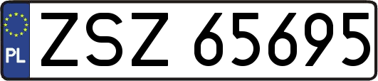 ZSZ65695