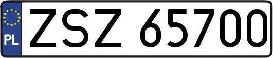 ZSZ65700