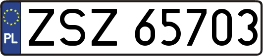 ZSZ65703