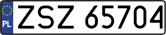 ZSZ65704