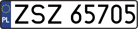 ZSZ65705