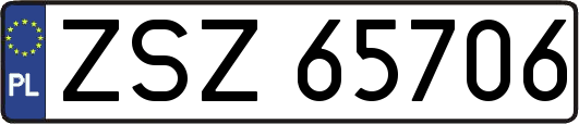 ZSZ65706