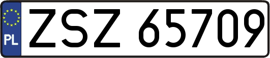 ZSZ65709