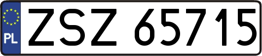 ZSZ65715