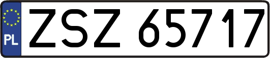 ZSZ65717