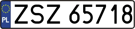 ZSZ65718