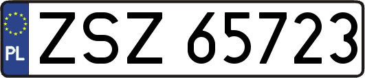 ZSZ65723