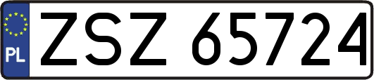 ZSZ65724