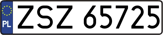 ZSZ65725